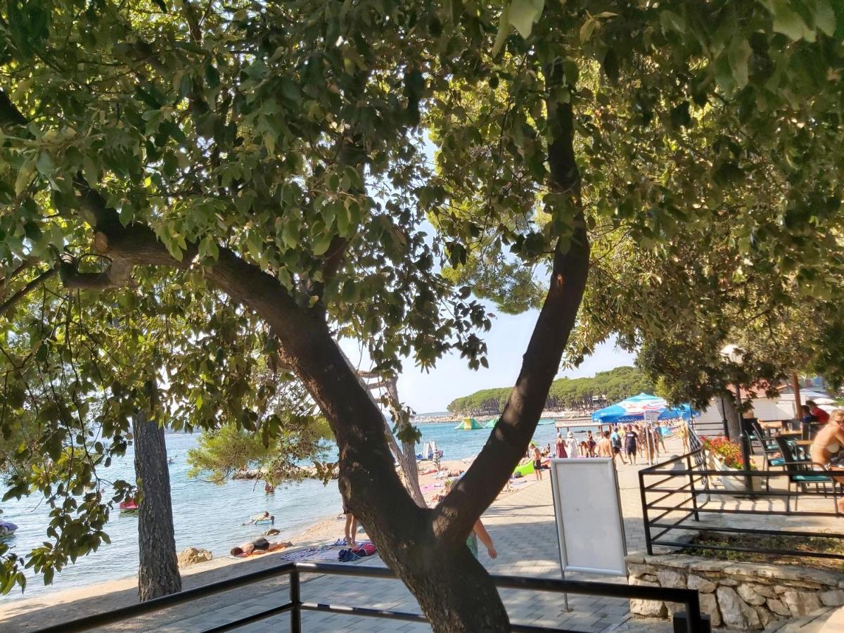 Mobile Home Sole Biograd Na Moru Εξωτερικό φωτογραφία
